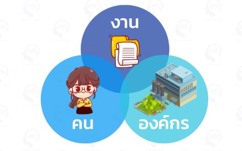 การจัดการความรู้ สถ. (KM)